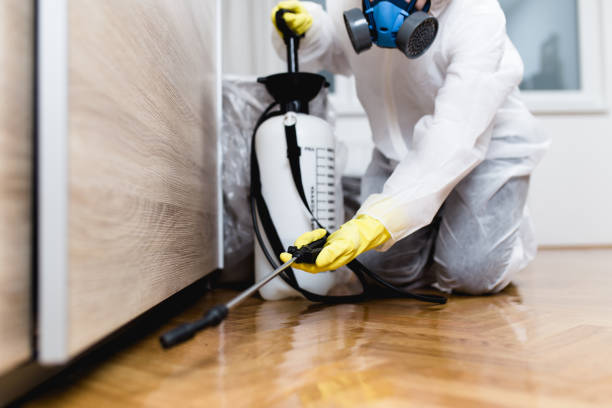 Best Cockroach Control Services  in Milton Freewater, OR