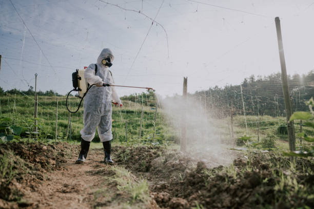 Best Best Pest Control Companies  in Milton Freewater, OR