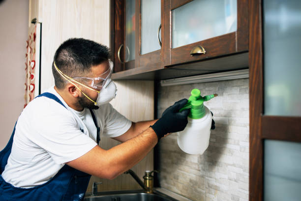 Best Spider Control Near Me  in Milton Freewater, OR