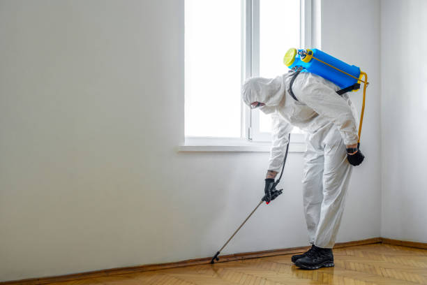 Best Residential Pest Control  in Milton Freewater, OR