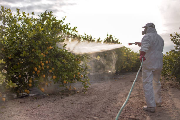 Best Pest Control Near Me  in Milton Freewater, OR