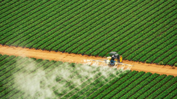 Best Mosquito Control Services  in Milton Freewater, OR
