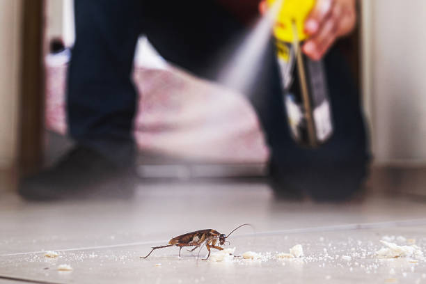 Best Insect Control  in Milton Freewater, OR