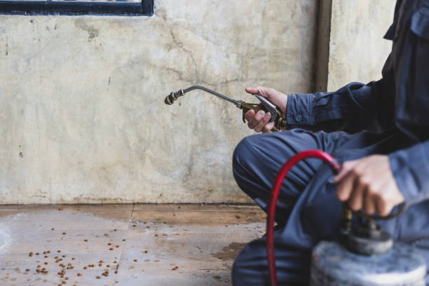 Best Pest Control Near Me in Milton Freewater, OR